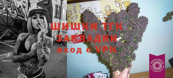 ешки Алексин